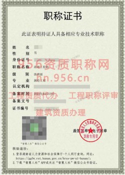 2024年4月湖南省测绘工程助理工程师职称案例06