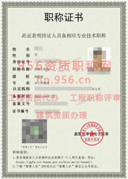 2024年10月湖南省水工环地质助理工程师职称案例02