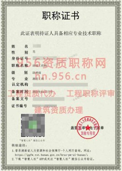 2024年4月湖南省测绘工程助理工程师职称案例07
