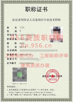 2024年10月湖南省测绘工程助理工程师职称案例04