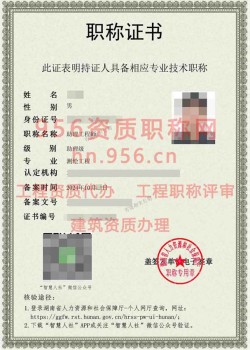 2024年10月湖南省测绘工程助理工程师职称案例09