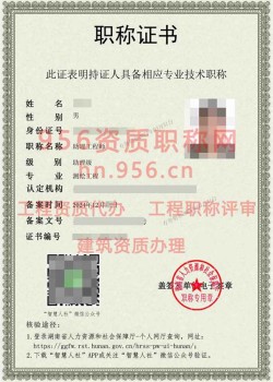 2024年12月湖南省测绘工程助理工程师职称案例05
