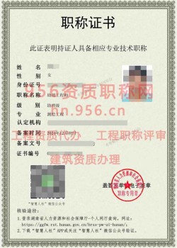 2024年12月湖南省测绘工程助理工程师职称案例04