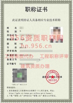 2024年12月湖南省测绘工程助理工程师职称案例03