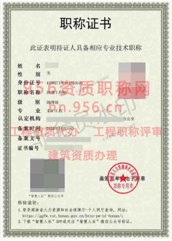 2024年10月湖南省采矿工程助理工程师职称案例01