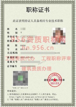 2024年10月湖南省测绘工程助理工程师职称案例03