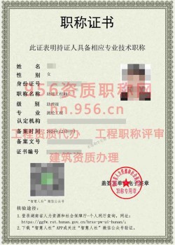 2024年12月湖南省测绘工程助理工程师职称案例01