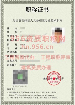 2024年10月湖南省测绘工程助理工程师职称案例08