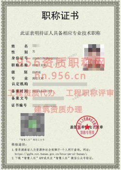 2024年4月湖南省测绘工程助理工程师职称案例09