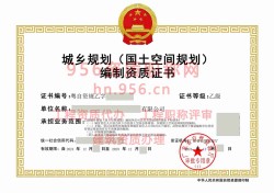 2024年12月广东省乙级城乡规划编制资质证书案例展示