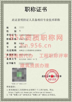 2024年10月湖南省测绘工程助理工程师职称案例07