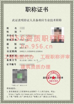 2024年10月湖南省测绘工程助理工程师职称案例09
