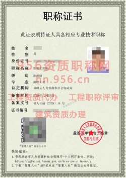 2024年10月湖南省测绘工程助理工程师职称案例10