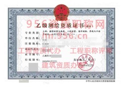 2024年8月江西省乙级测绘资质证书案例展示