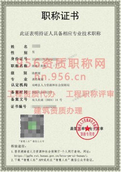 2024年10月湖南省调查规划专业助理工程师职称案例11