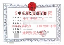 2024年9月广东省甲级测绘资质证书案例展示02