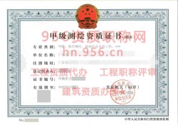 2024年9月广东省甲级测绘资质证书案例展示01