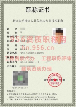 2024年10月湖南省测绘工程助理工程师职称案例08